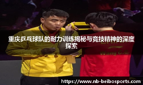 ballbet贝博体育官网